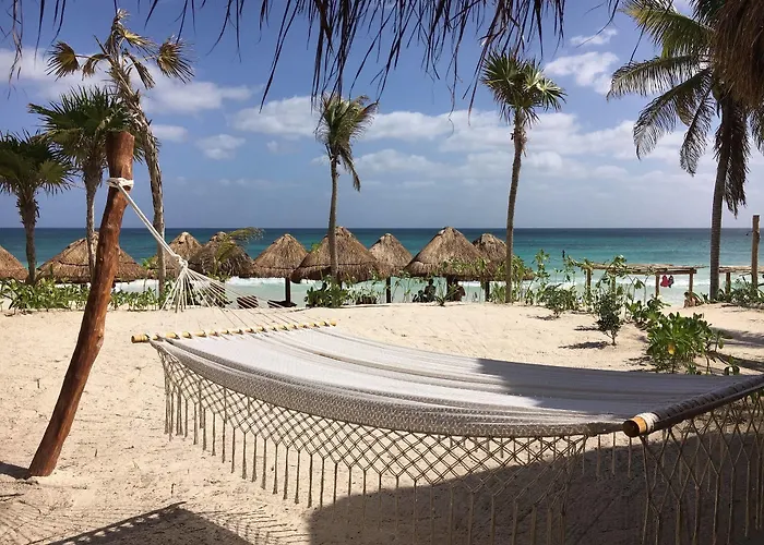 Alma Tulum